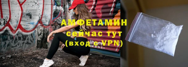 индика Верхний Тагил