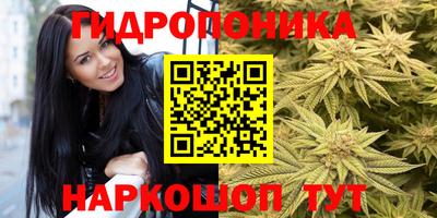 спайс Будённовск