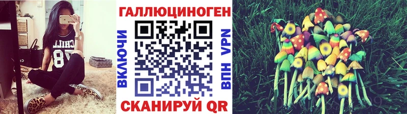 Псилоцибиновые грибы Psilocybe мориарти как зайти Фролово