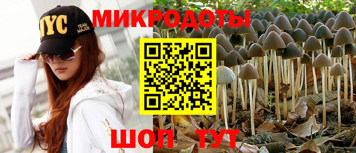 Галлюциногенные грибы GOLDEN TEACHER  Фролово 